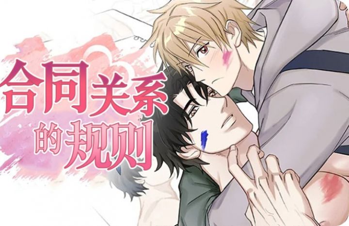 合同关系的规则 - 佚名