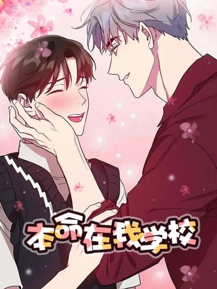 本命在我学校