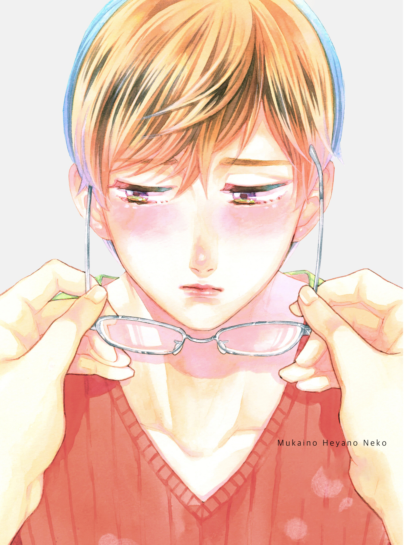 房间里的猫 - Mukaino Heyano Neko